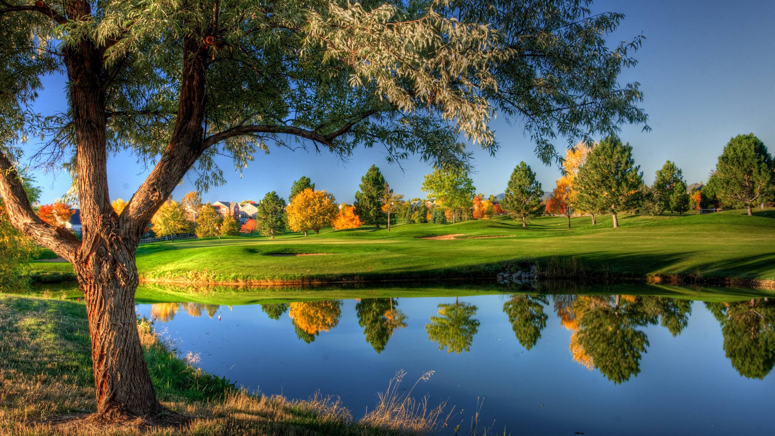 Campo da golf con lago autunnale, 2560x1440 2K QHD, PC