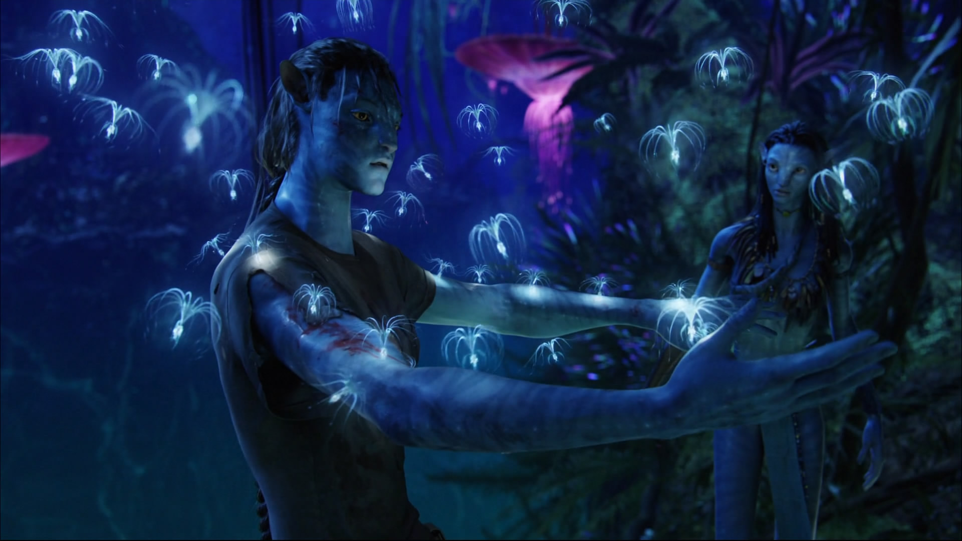 Avatar Na'vi con spiriti luminosi, 1920x1080 Full HD, Desktop