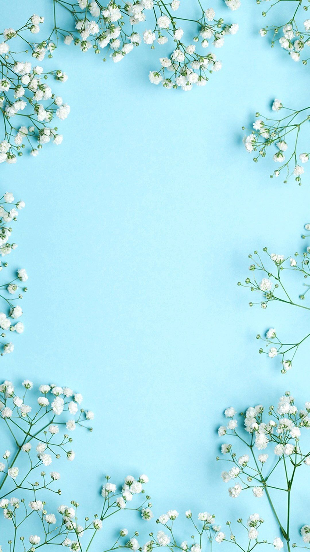 Fiori bianchi su sfondo azzurro, 1080x1920 Full HD Verticale, Smartphone