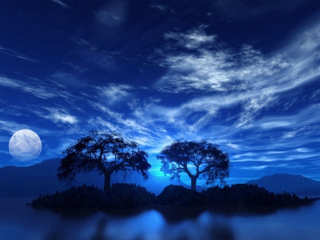 Alberi silhouette notte blu, 1024x768 HD, iMac