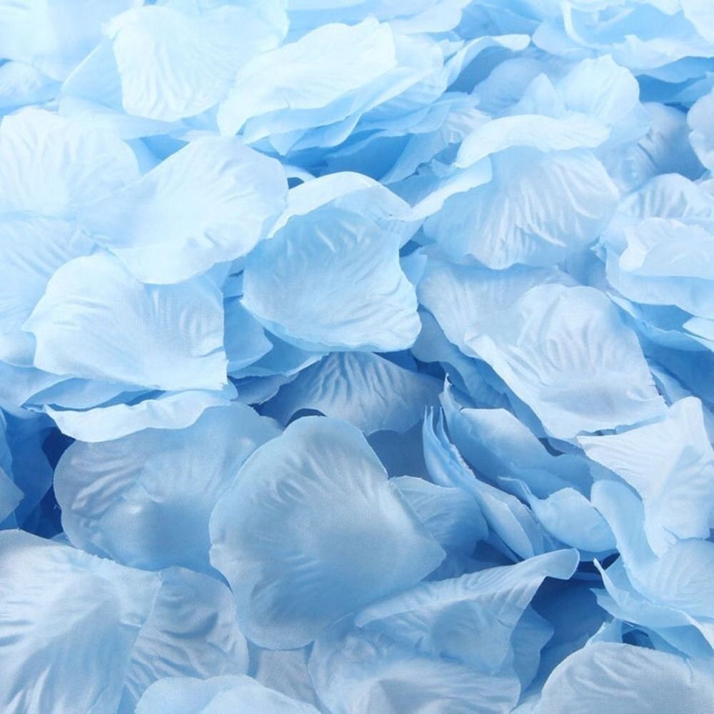 Petali di rosa azzurro polvere, 1000x1000 HD, Laptop