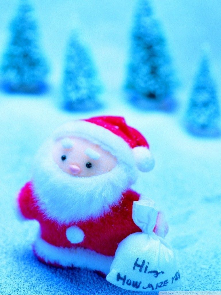 Babbo Natale giocattolo con sacco, 768x1024 Full HD Verticale, iPhone