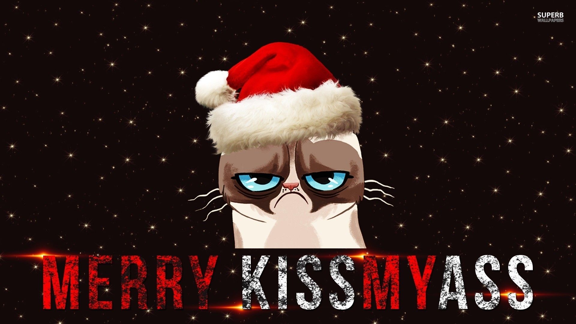 Grumpy Cat cappello Babbo Natale, 1920x1080 1080p, Desktop