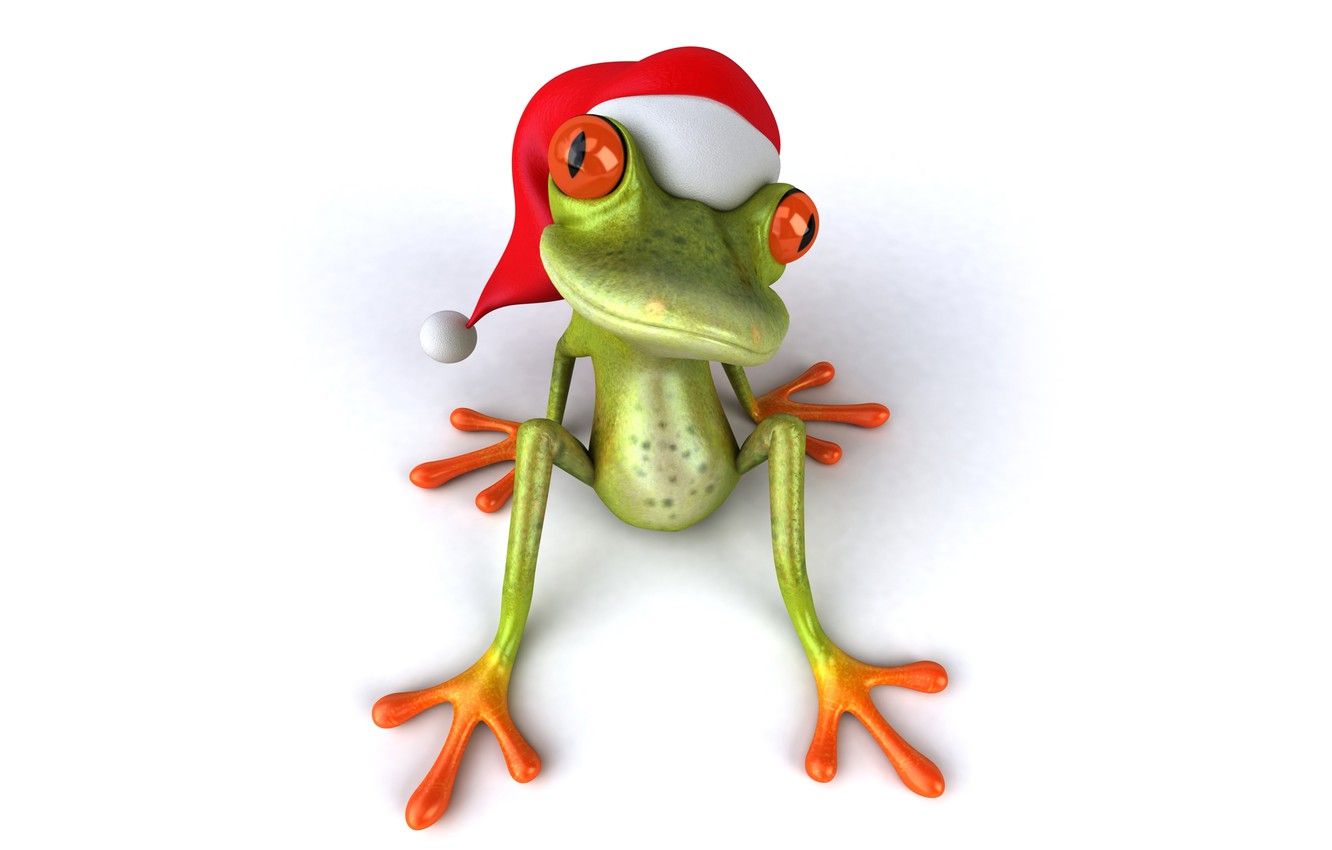 Rana verde con cappello Babbo Natale, 1332x850 HD, Desktop