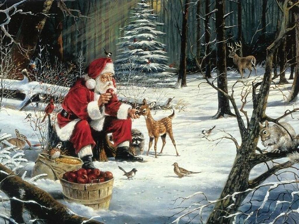 Babbo Natale nel bosco innevato, 1024x768 HD, Desktop