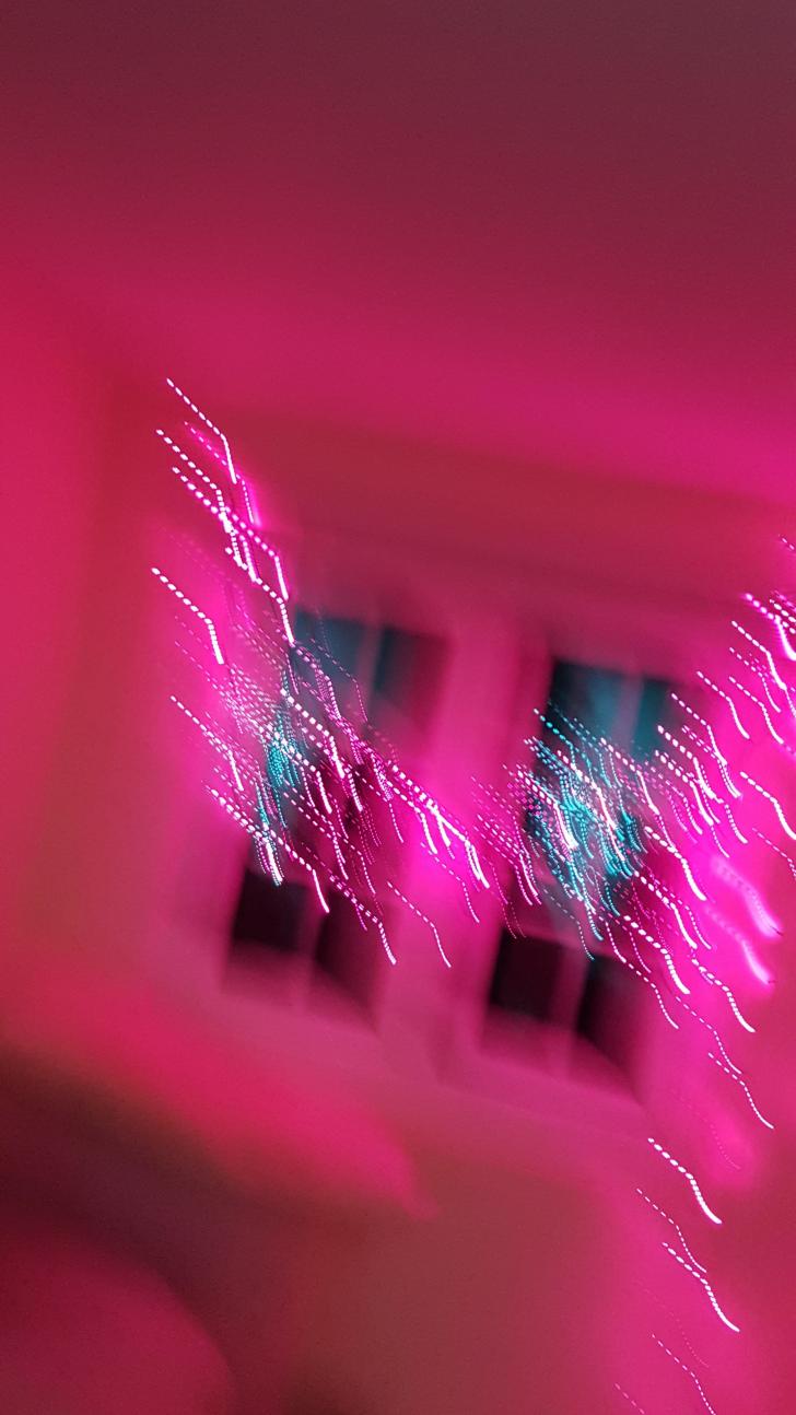 Finestre luci rosa neon, 728x1294 Full HD Verticale, iPhone