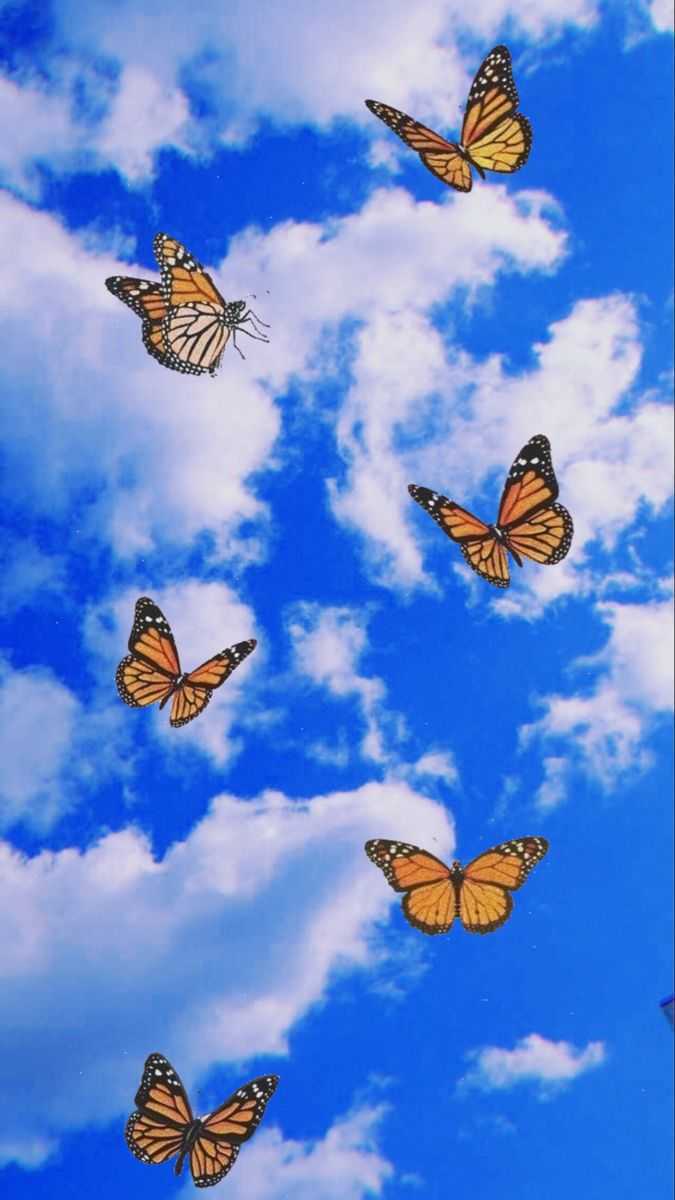 Farfalle arancioni cielo blu, 675x1200 Verticale, Mobile