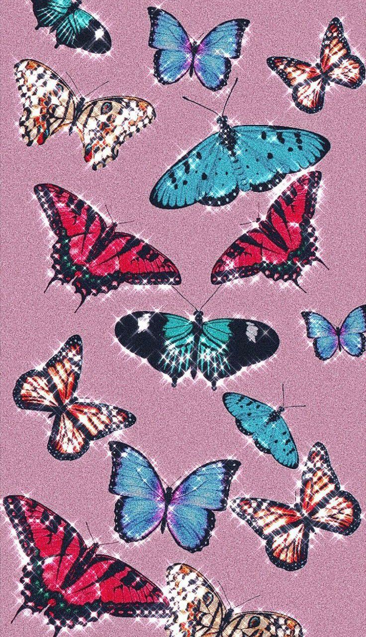 Farfalle colorate sfondo rosa, 736x1279 Verticale, Xiaomi