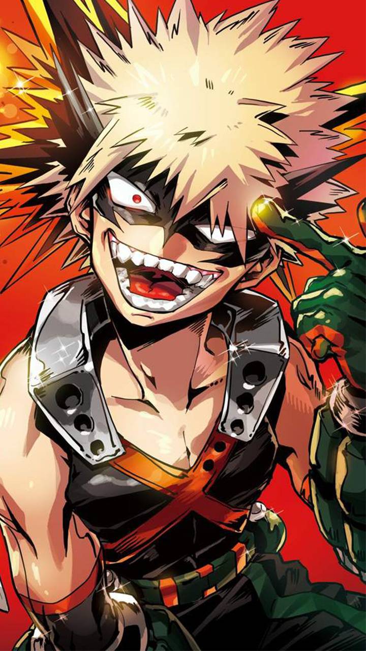 Midoriya e Bakugo, My Hero Academia, 1600x900 HD Ready, PC