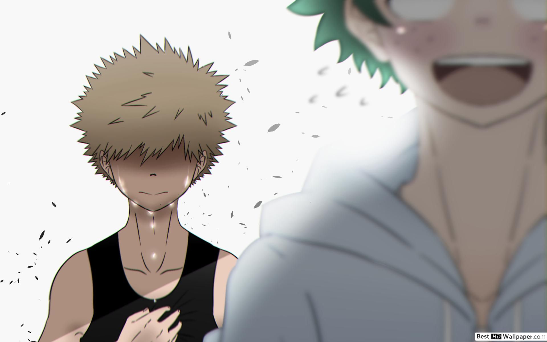 Deku sorridente al tramonto, 1920x1080 1080p, Laptop
