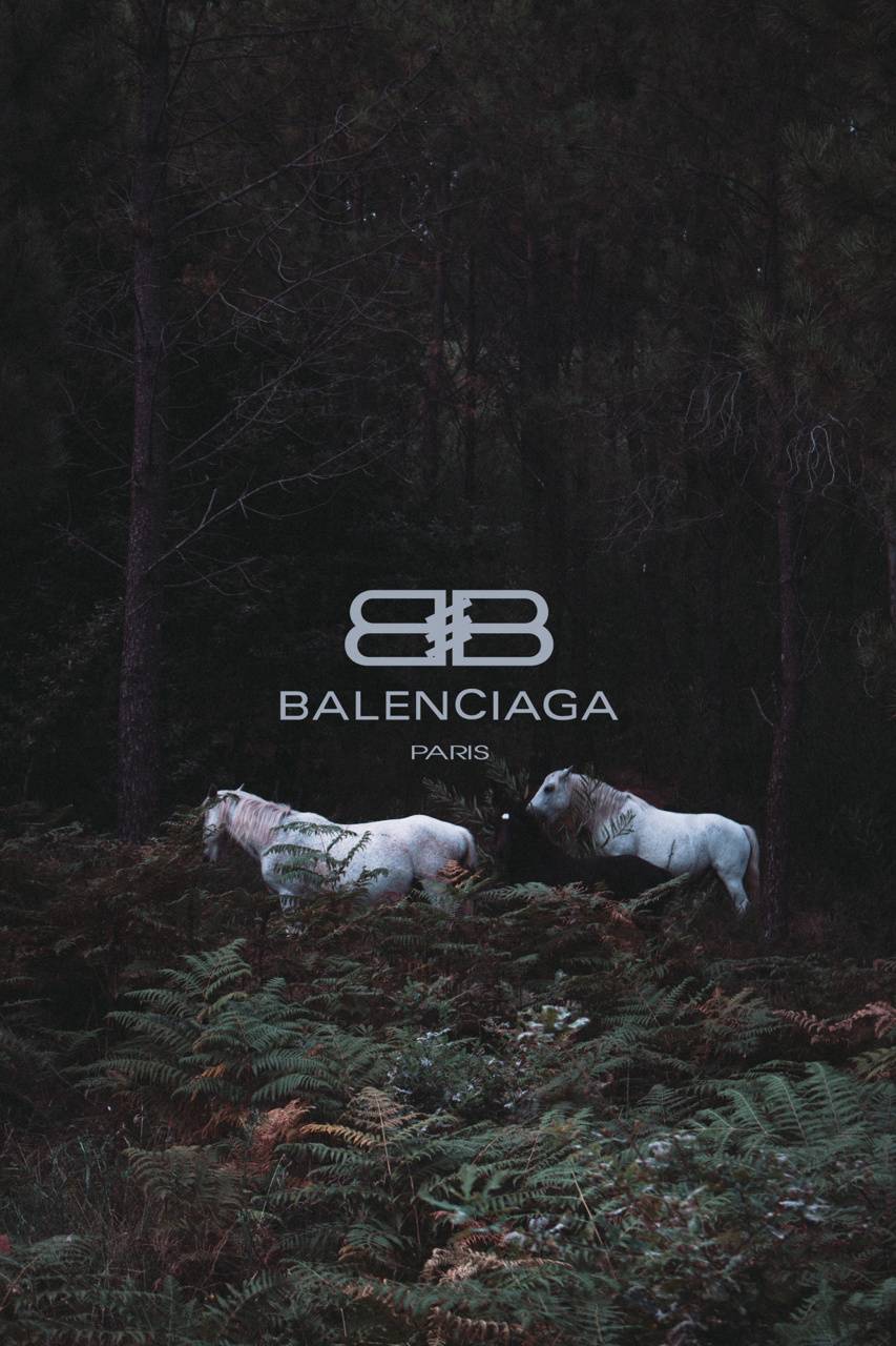 Logo Balenciaga foresta scura, 853x1280 Full HD Verticale, iPhone