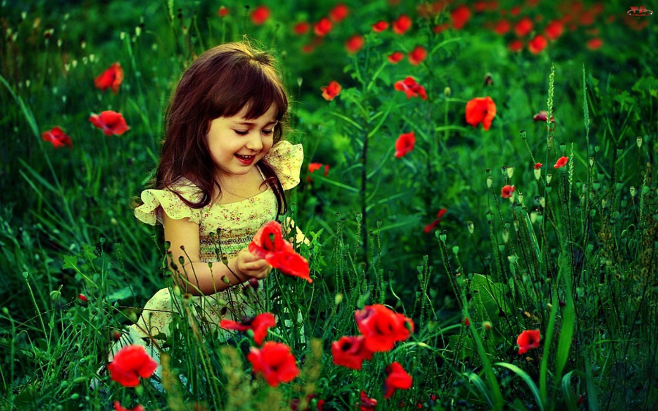 Bambina con papaveri rossi, 1280x800 HD, Desktop