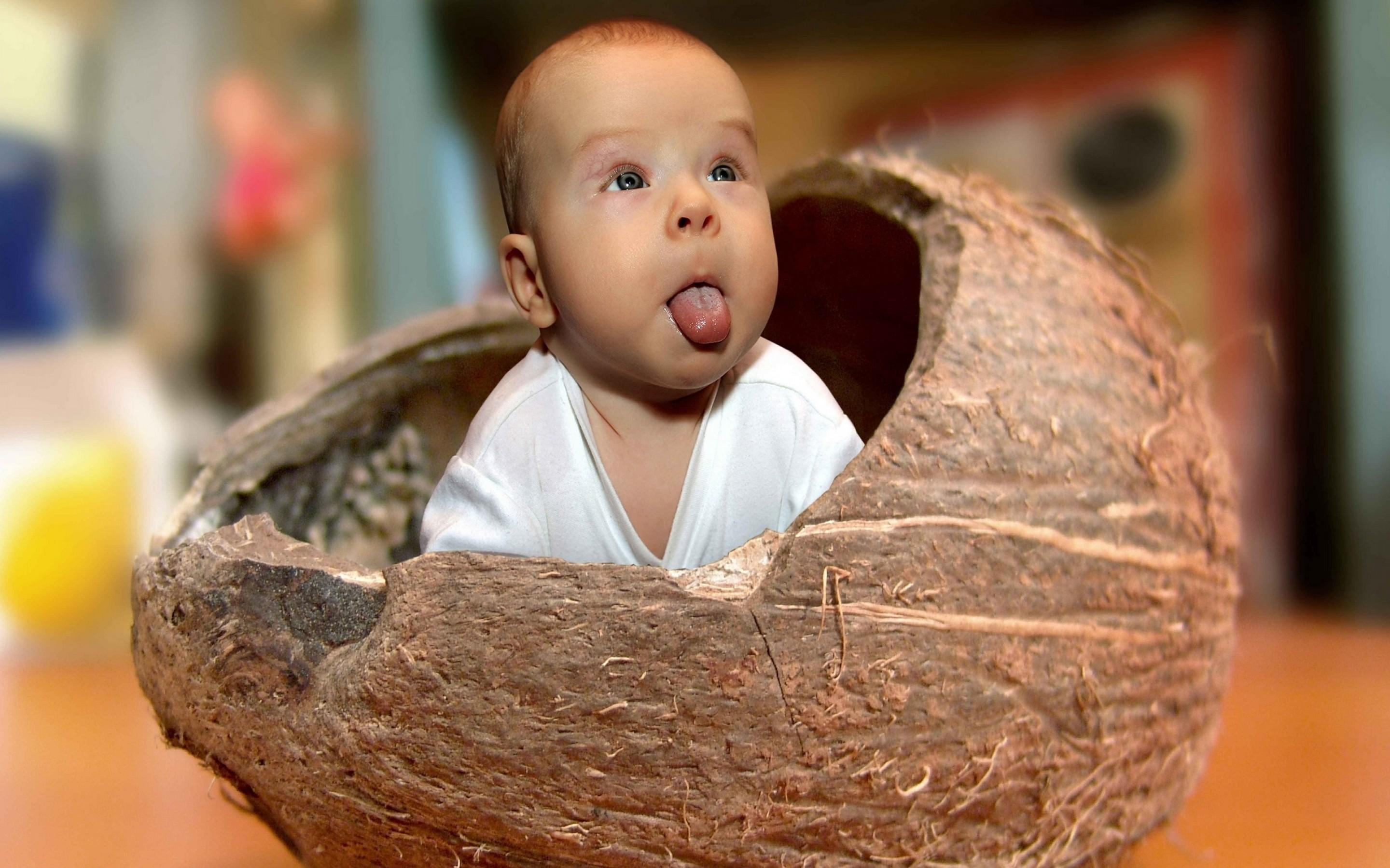 Bambino divertente in noce di cocco, 2880x1800 WQXGA, Laptop