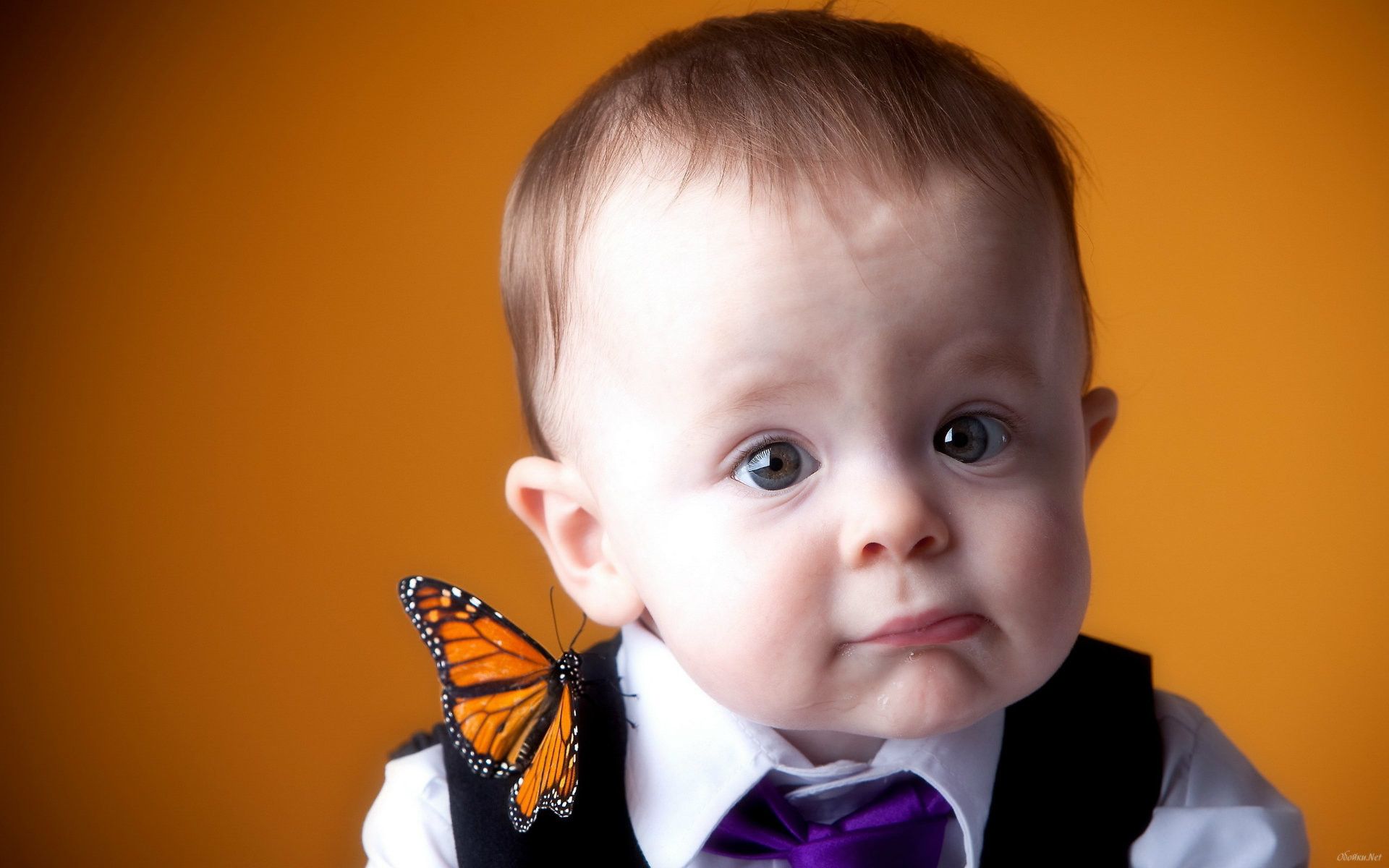 Bambino con farfalla arancione, 1920x1200 WUXGA, iMac