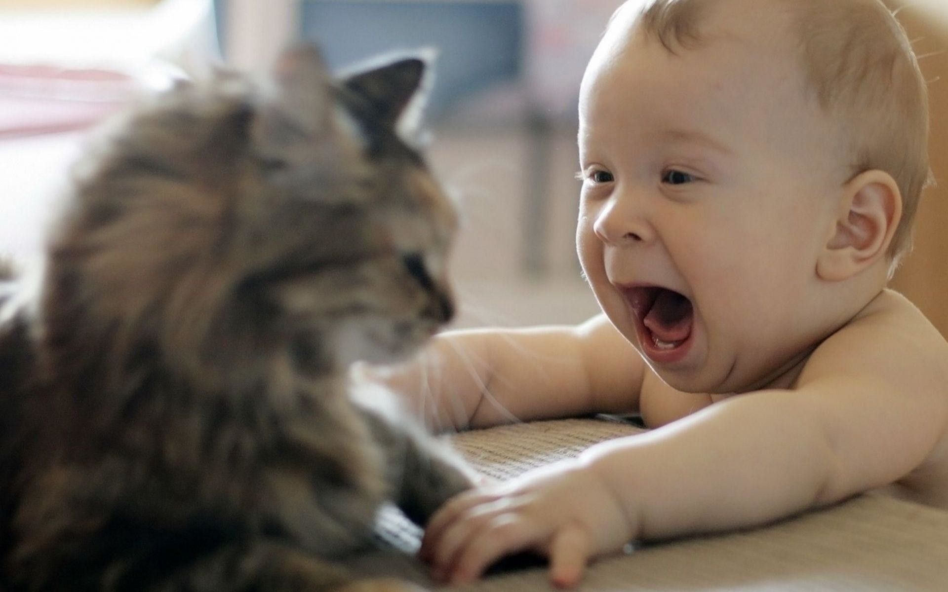 Bambino ride con gatto, 1920x1200 WUXGA, Desktop