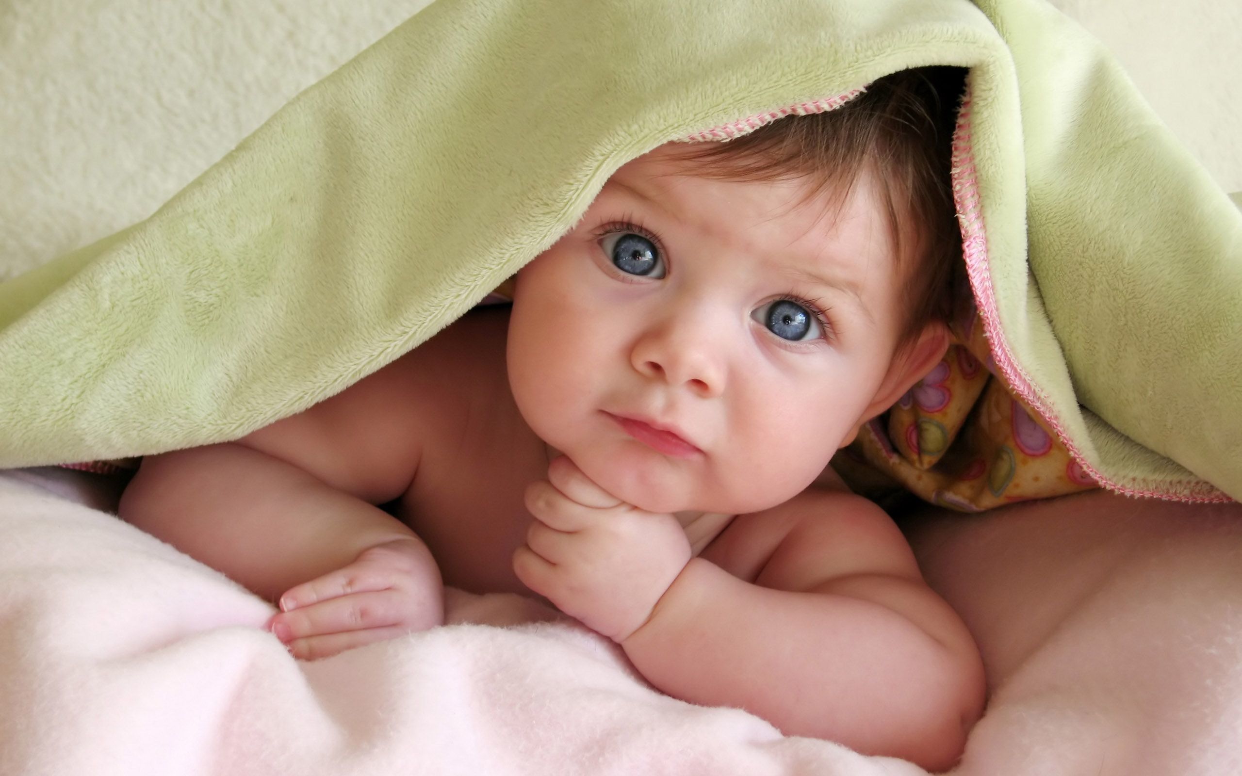 Bambino sotto coperta verde, 2560x1600 2K+, PC