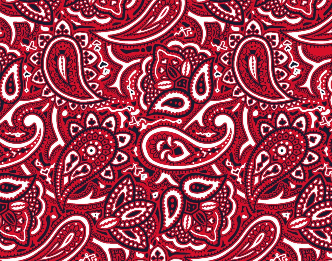 Bandana rossa motivo paisley, 1280x1007 HD, Desktop
