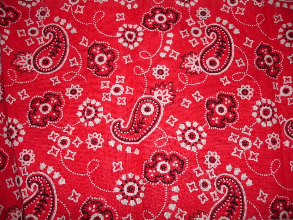 Bandana rossa motivo paisley, 1024x768 HD, PC