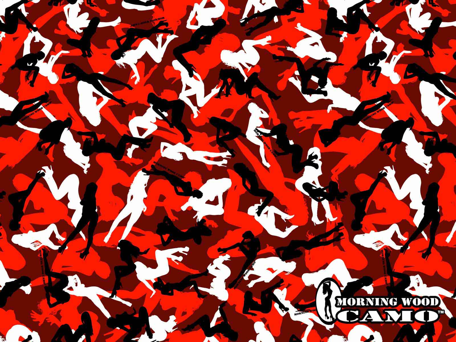 Motivo paisley bandana rosso-nero, 2560x1440 2K QHD, PC