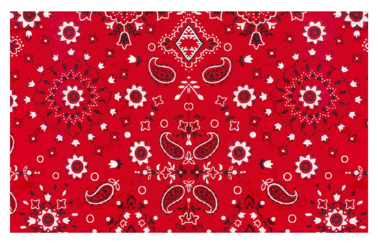 Bandana rossa a motivi paisley, 1500x971 720p, PC