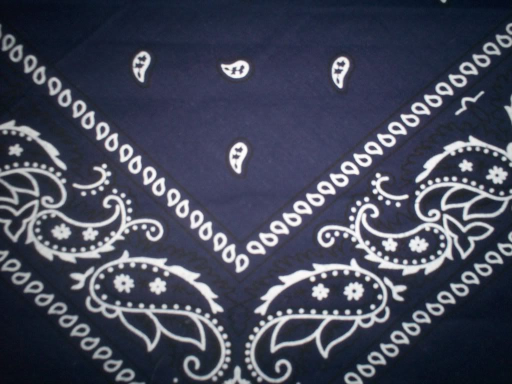 Bandana rossa teschi pattern, 1024x768 HD, Laptop