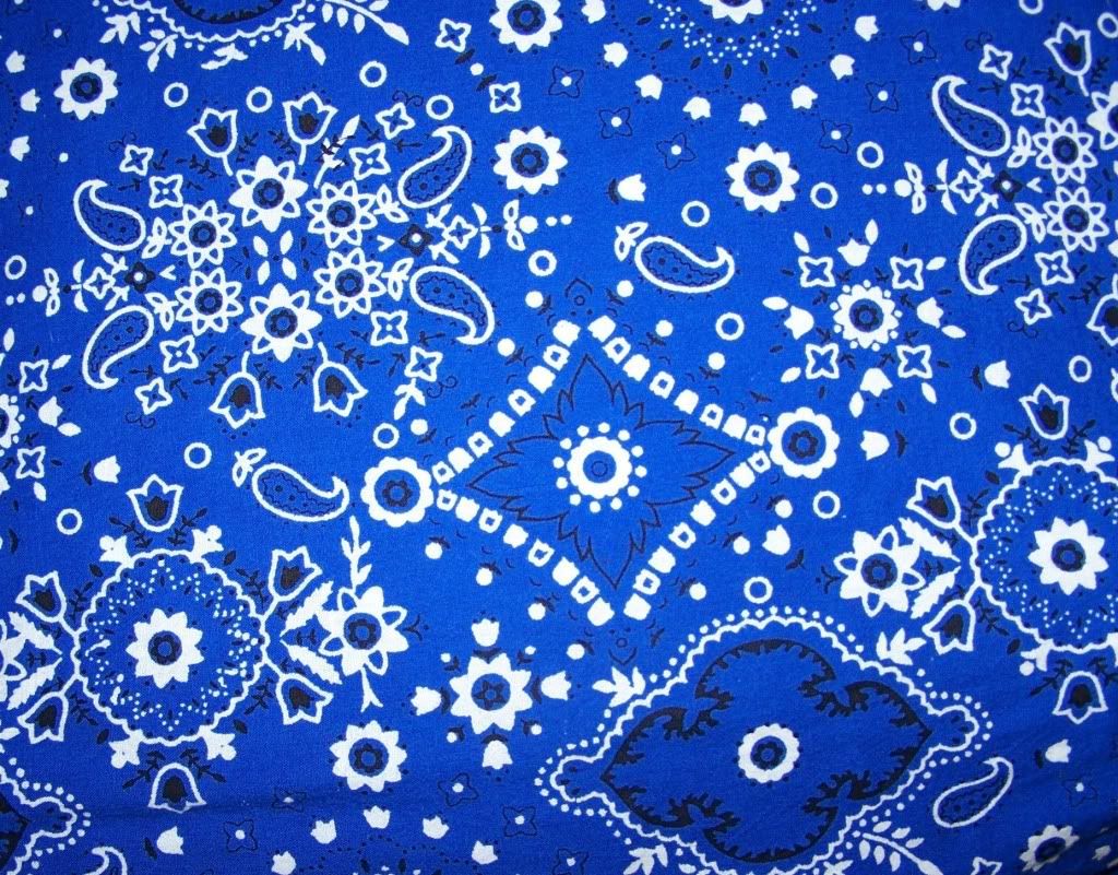 Bandana blu con motivi paisley, 1024x801 HD, Desktop