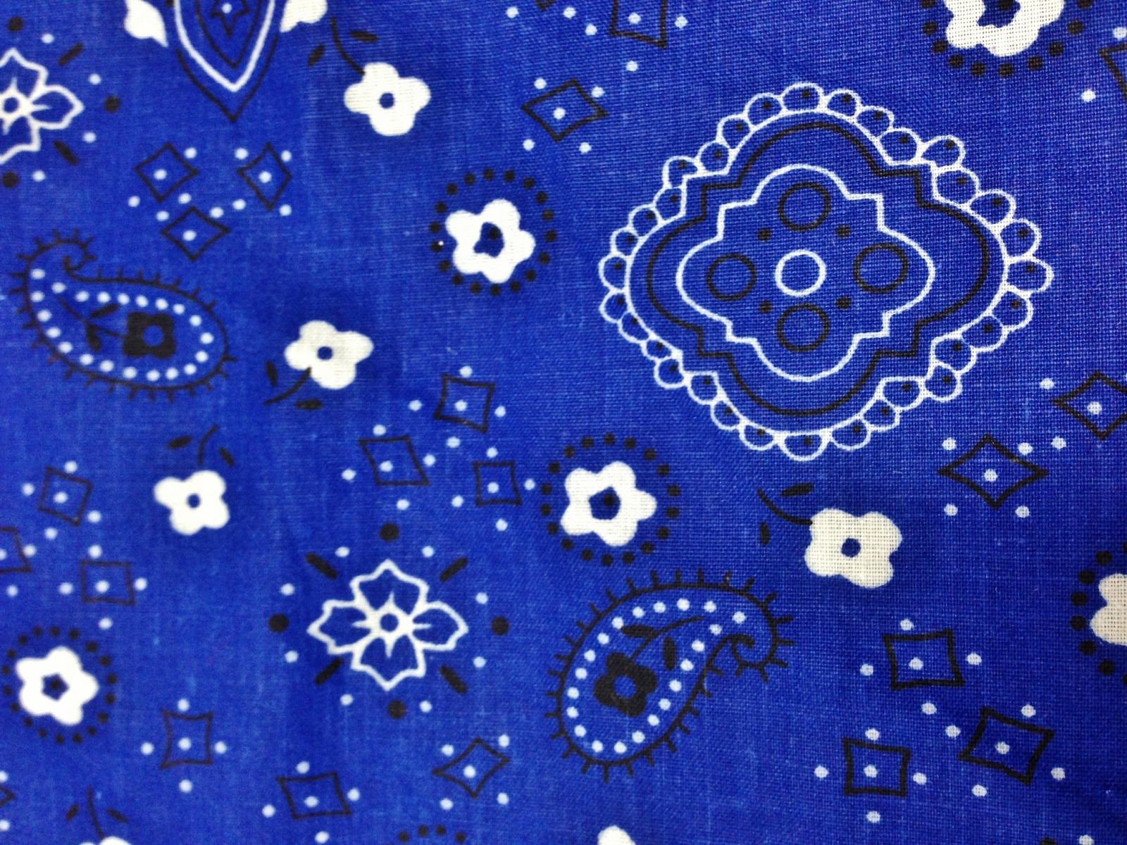 Bandana blu con motivi paisley, 1600x1200 HD Ready, Acer Nitro