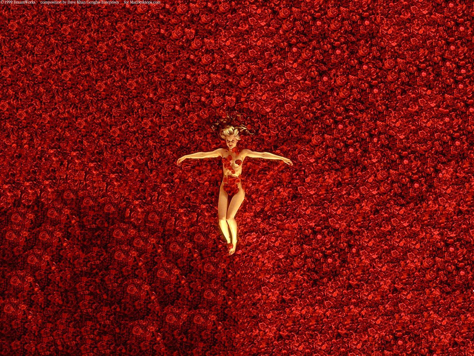 Ragazza su petali di rose rosse, 1600x1200 900p, PC
