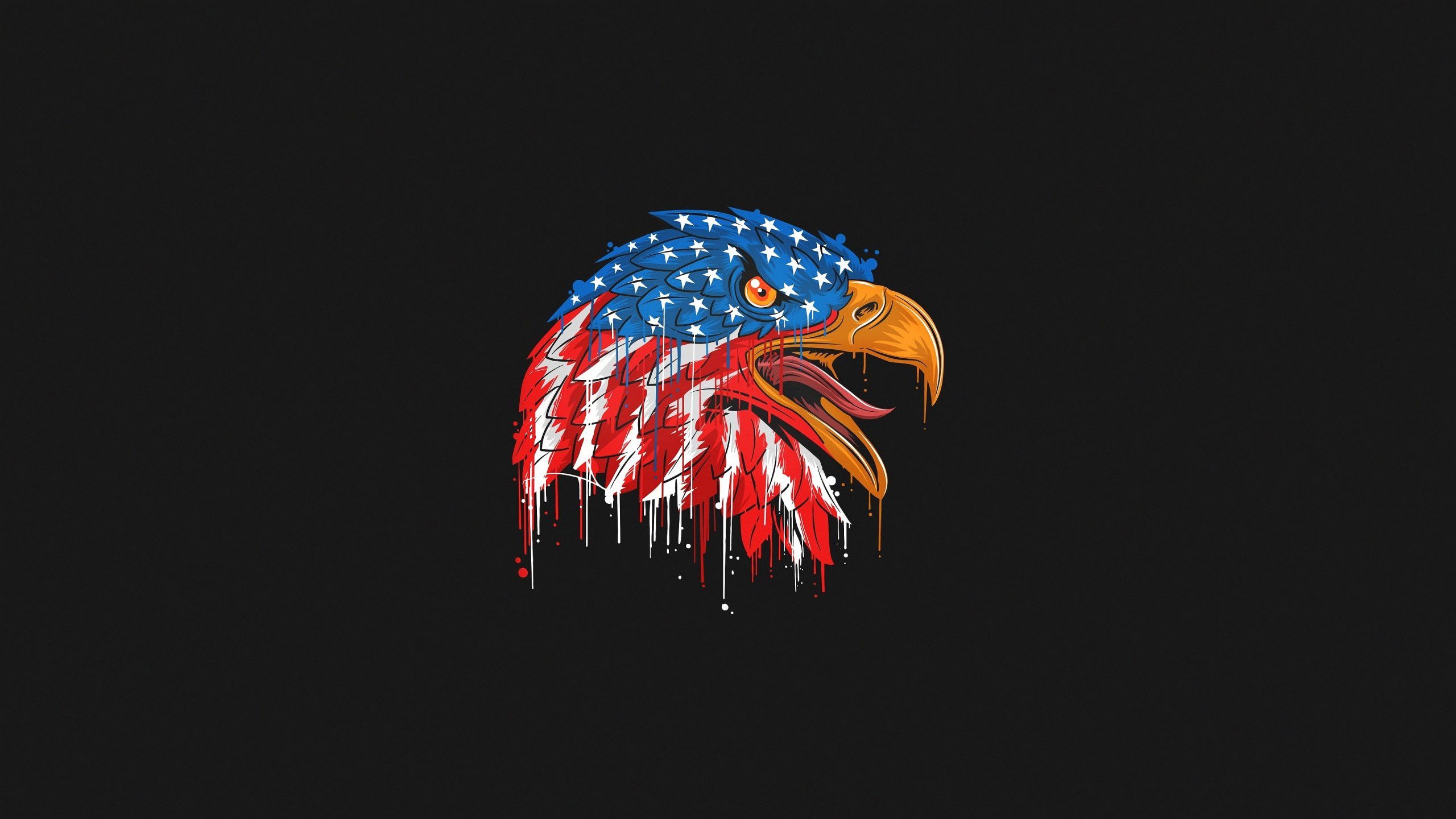 Aquila con bandiera americana, 2560x1440 2K, Desktop