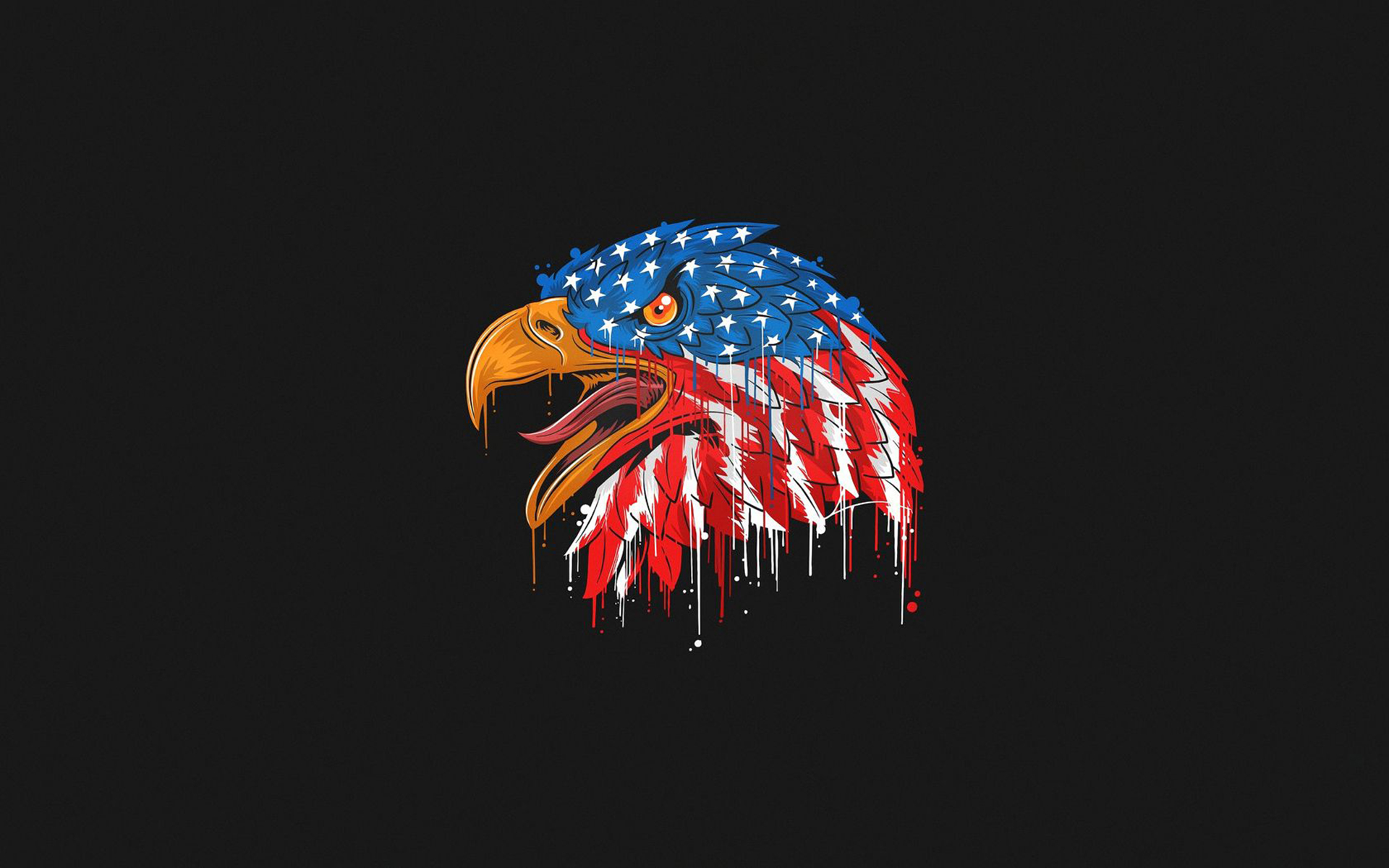 Aquila con bandiera americana, 1920x1200 Full HD+ WUXGA, PC Desktop