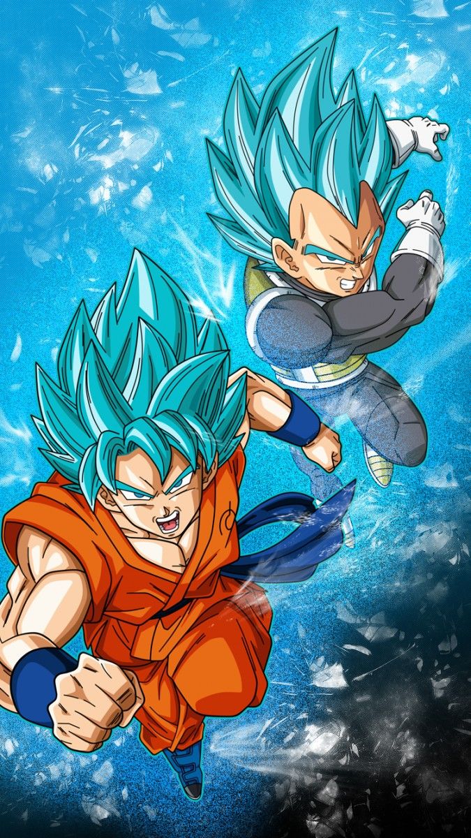 Goku e Vegeta Super Saiyan Blue, Principe dei Saiyan, 675x1200 Full HD Verticale, iPhone