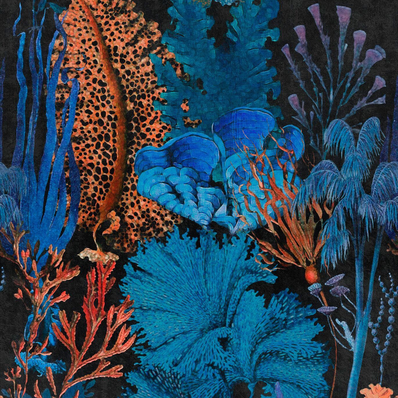 Coralli blu e arancioni scuri, 1370x1370 HD, Desktop