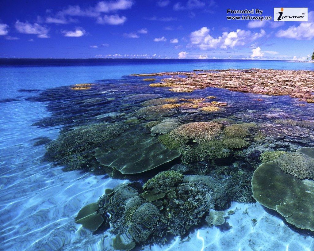 Barriera corallina Isole Marshall, 1024x819 HD, Desktop