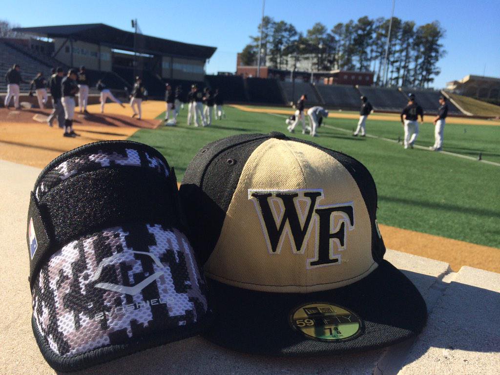 Cappellini baseball Wake Forest WF, 1024x768 HD, PC Desktop
