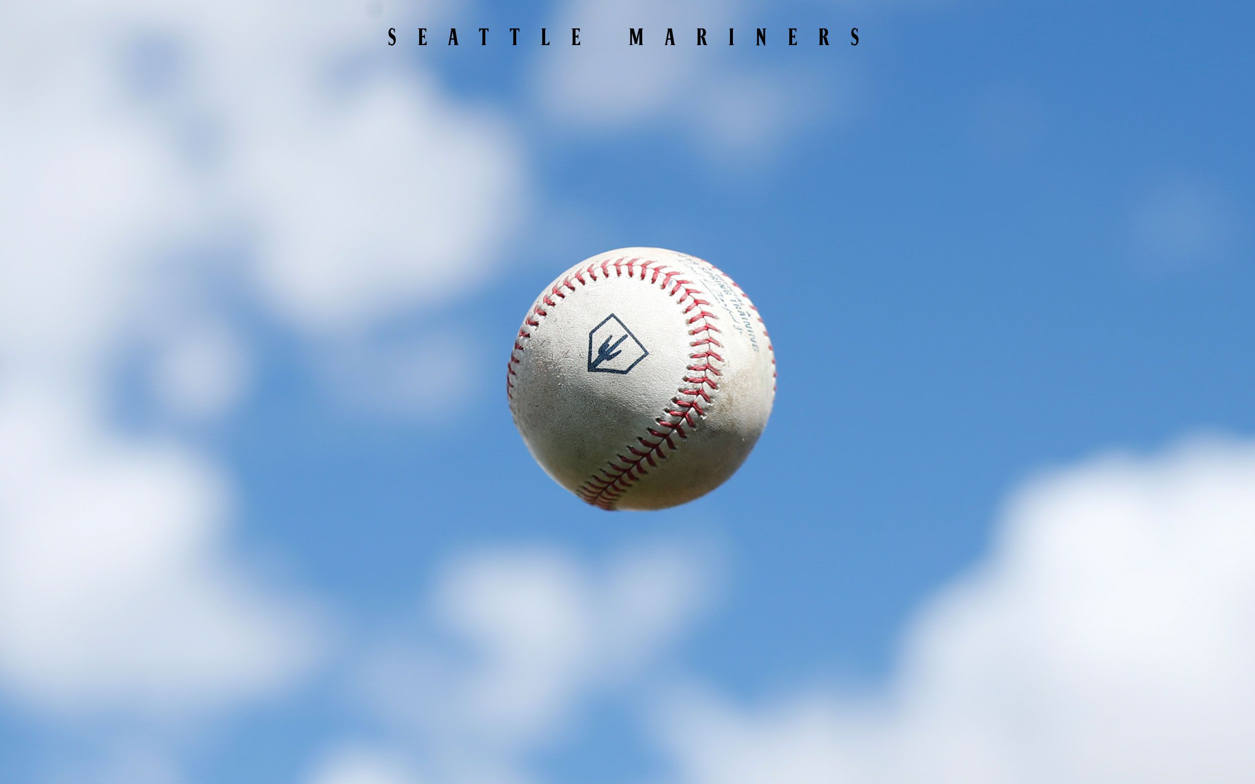 Baseball per Cellulare, 2560x1600 2K+, MacBook Pro