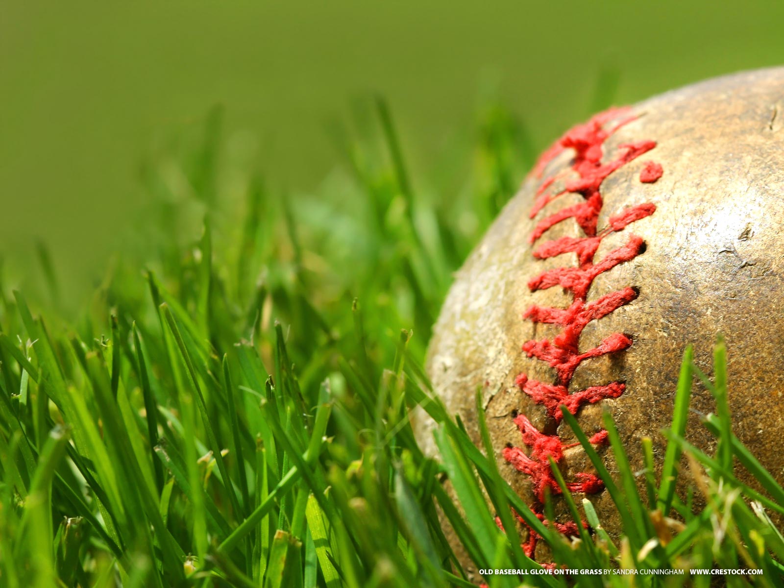 Palla da baseball sull'erba, 1600x1200 HD, Monitor Gaming