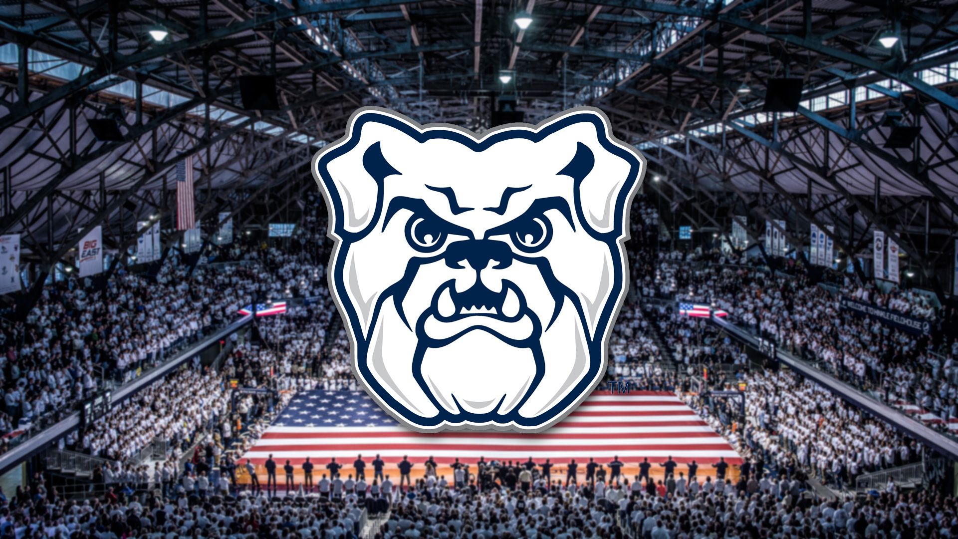 Mascotte bulldog Butler basket, 1920x1080 Full HD, Desktop