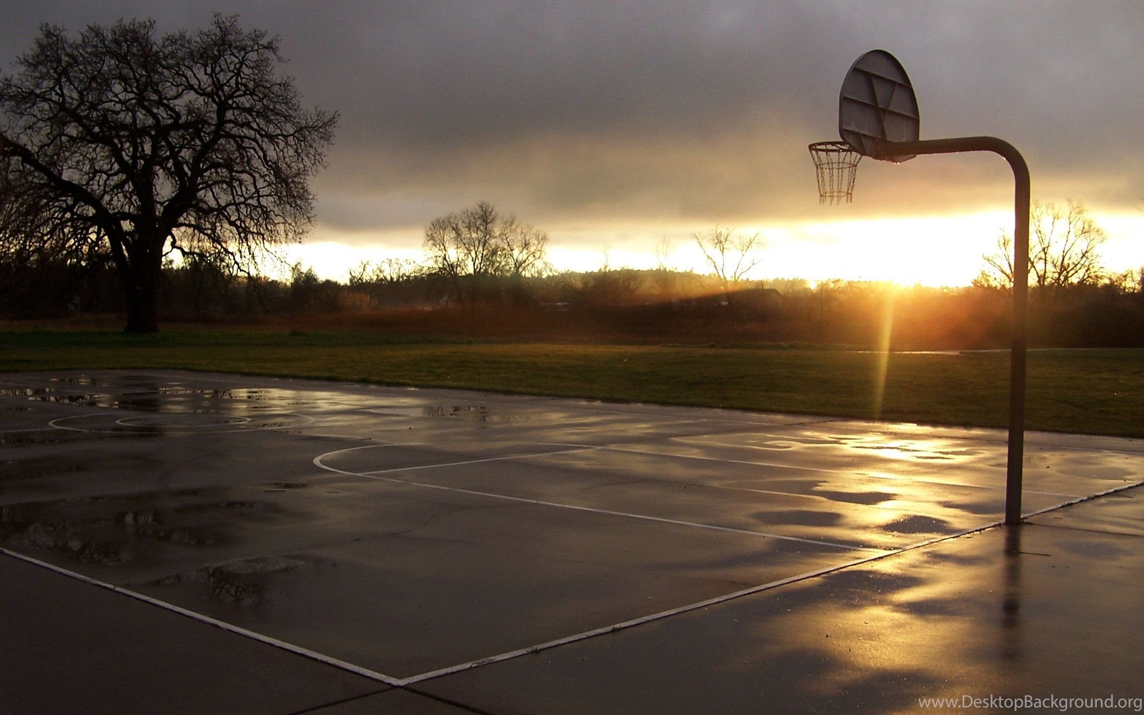Campo basket tramonto bagnato, 2304x1440 alta risoluzione, PC Desktop