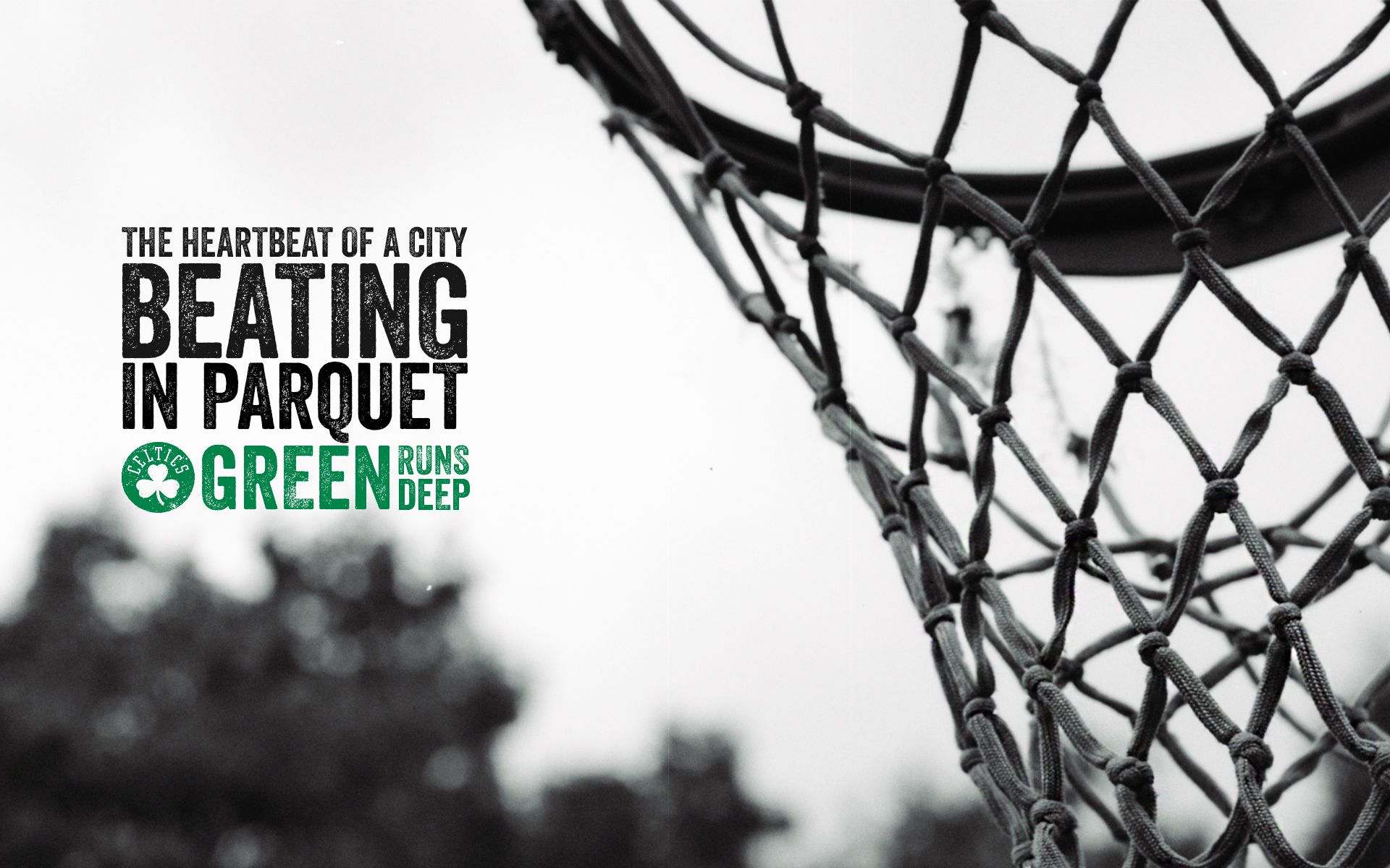 Canestro basket Boston Celtics, 1920x1200 Full HD+ WUXGA, Monitor Gaming