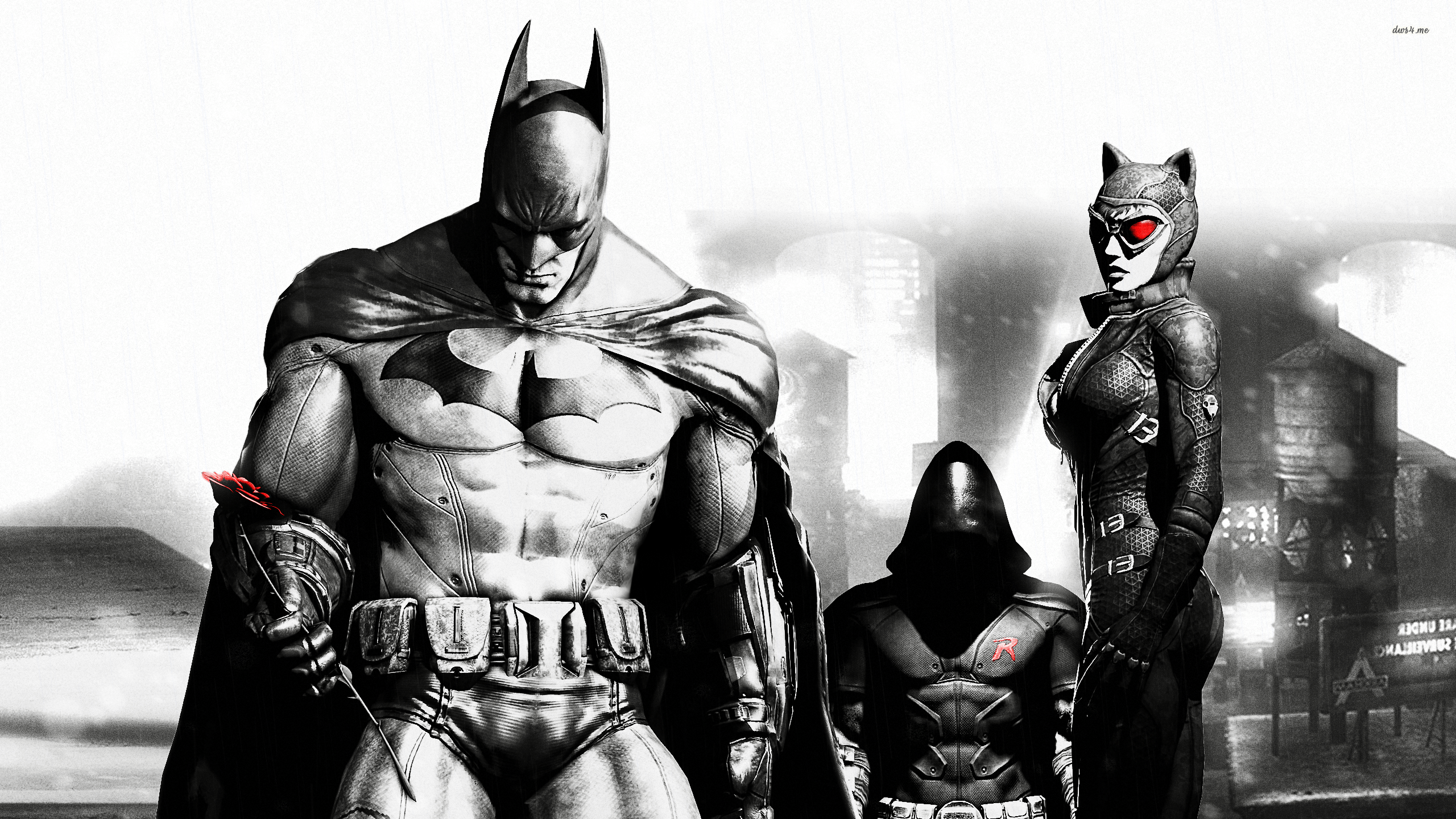 Batman, Catwoman e Robin, 2560x1440 QHD, Laptop
