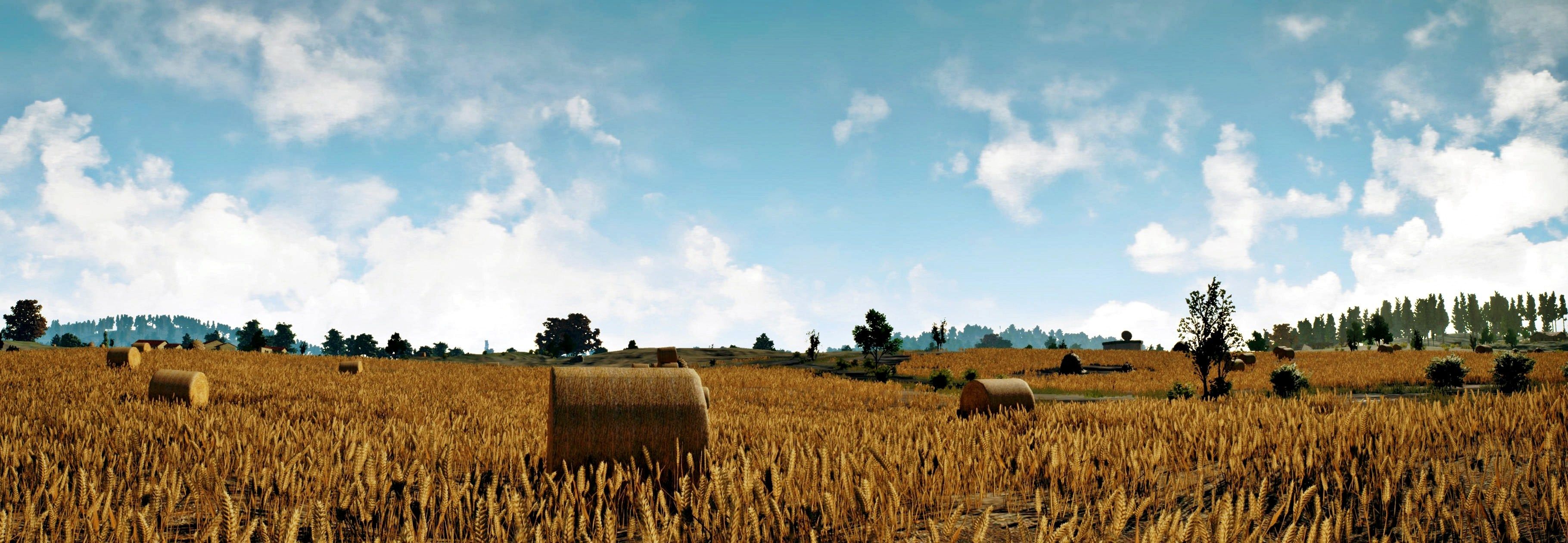 Campo di grano PUBG, battle royale, 3640x1260 21:9, Ultrawide