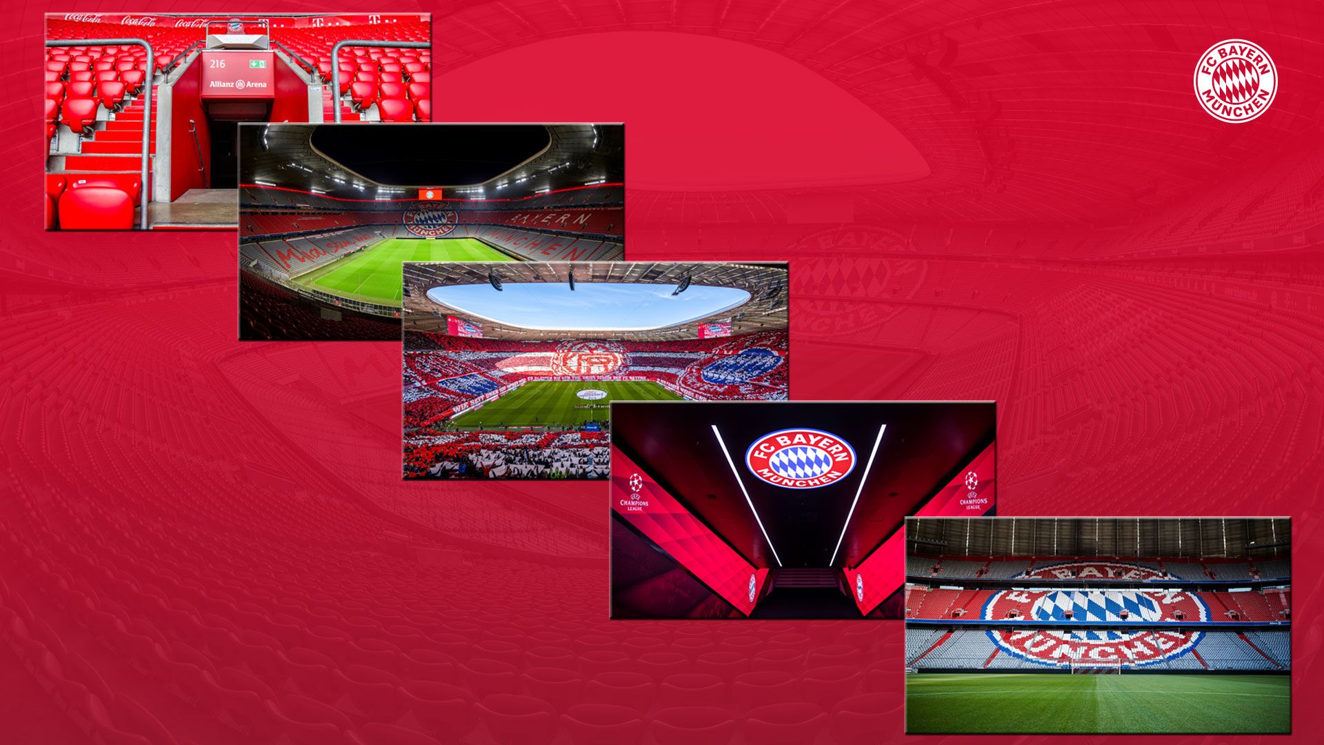 Logo e stadio FC Bayern, 1920x1080 1080p, Laptop