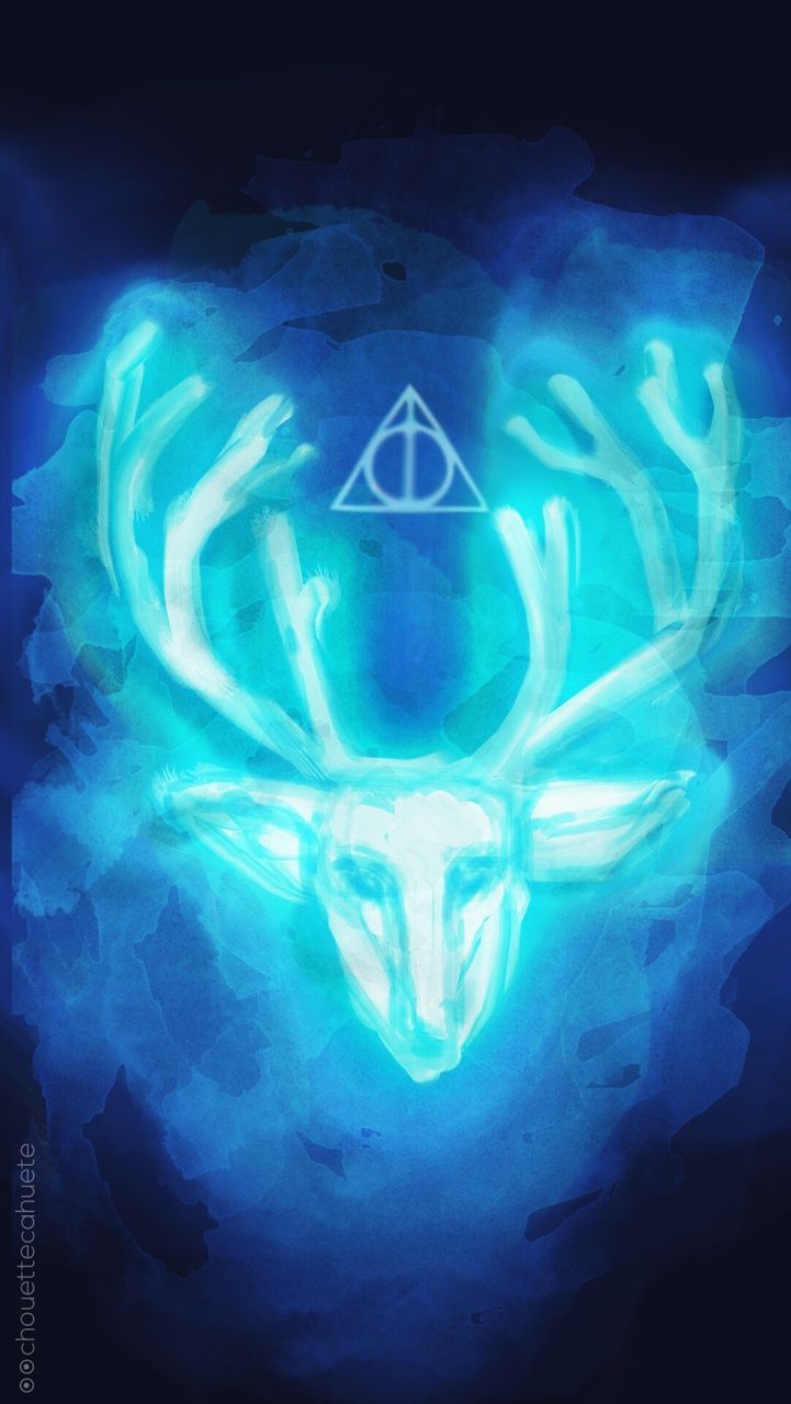 Patronus volpe luminosa blu, 2835x1984 WQXGA, Desktop