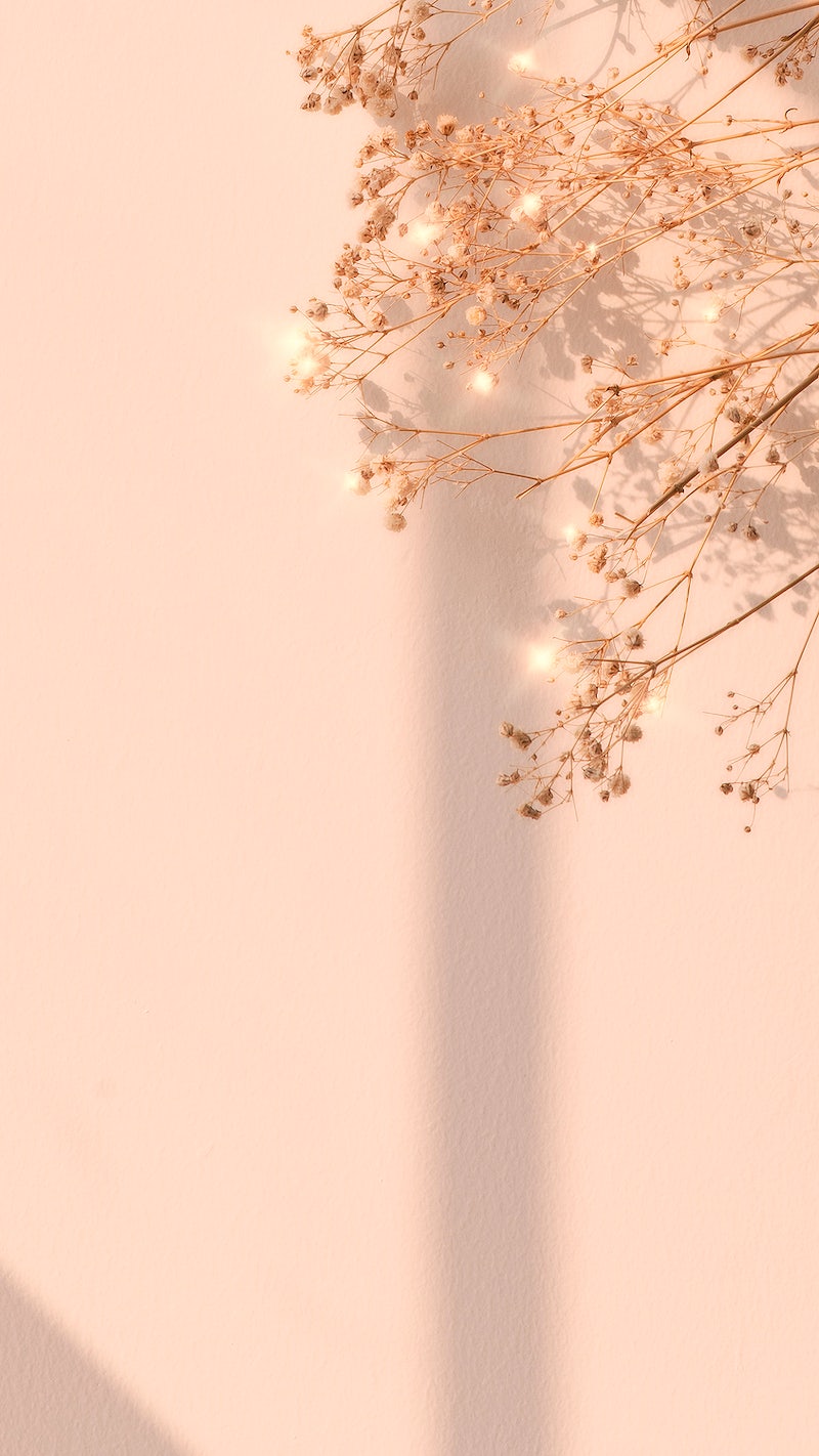 Fiori secchi ombra beige, 800x1422 Full HD Verticale, iPhone