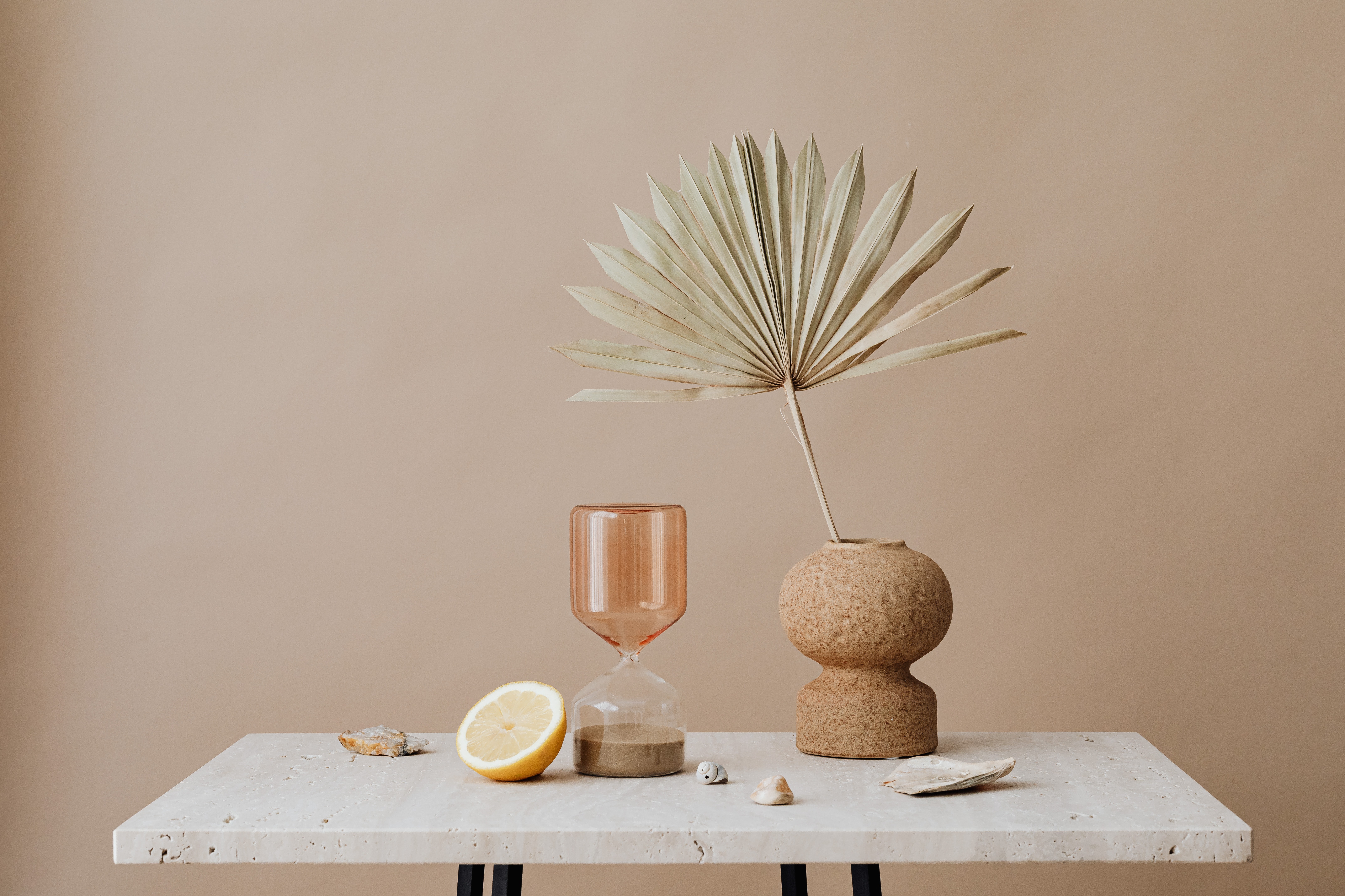 Foglia di palma, limone, vaso beige, 6472x4315 4K Ultra HD, Monitor 4K