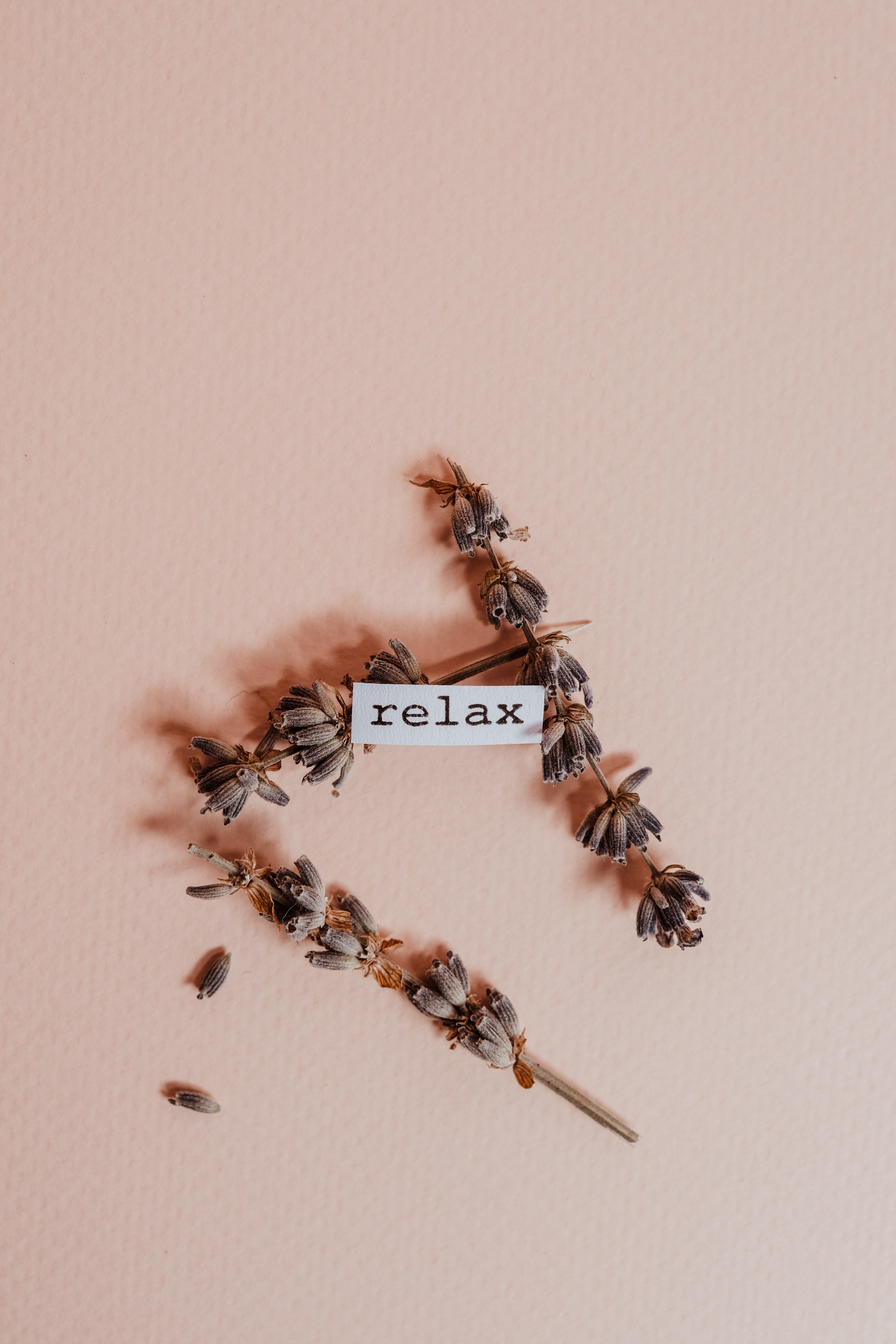 Fiori secchi con cartellino relax, 3847x5771 Verticale, OnePlus