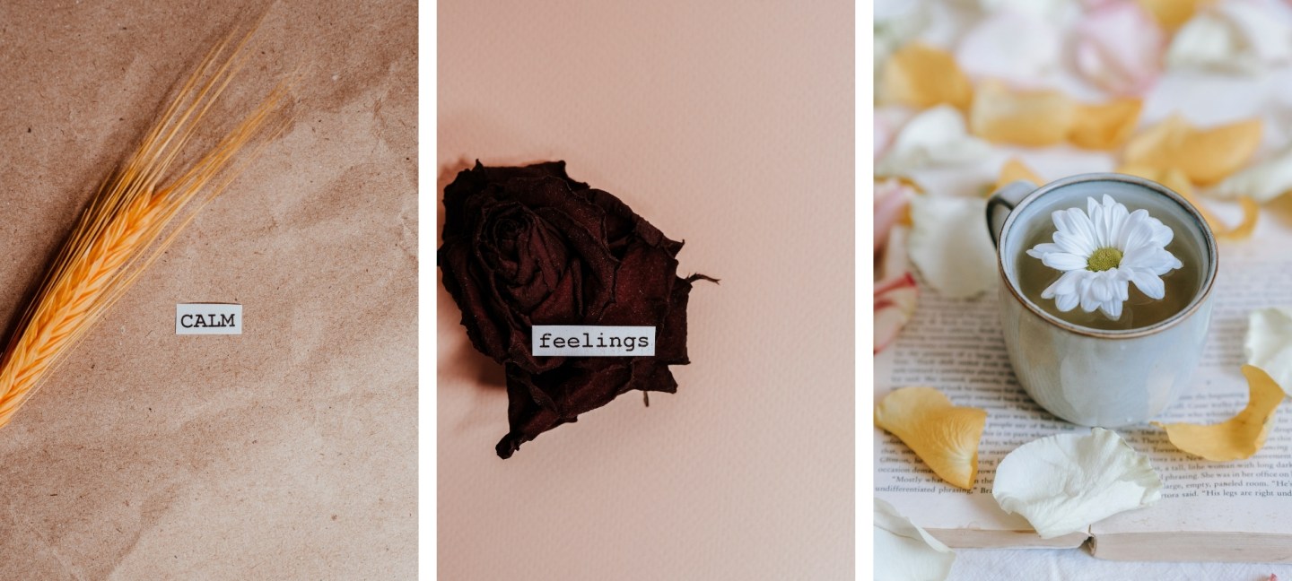 Collage estetico beige minimalista, 1440x648 Ultrawide, Dual Monitor