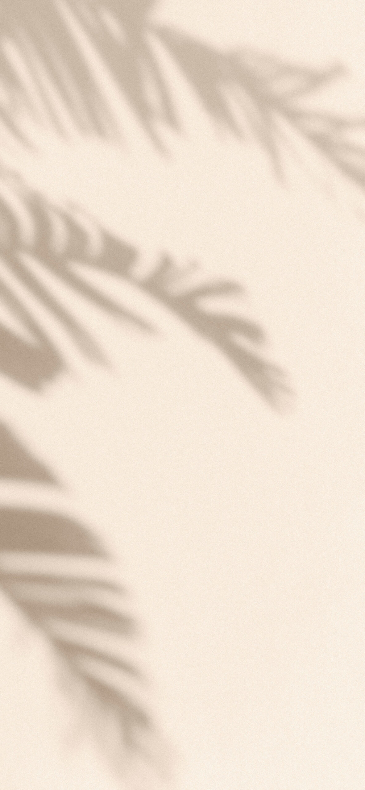 Ombra foglie palma beige, 1183x2560 Full HD Verticale, Smartphone