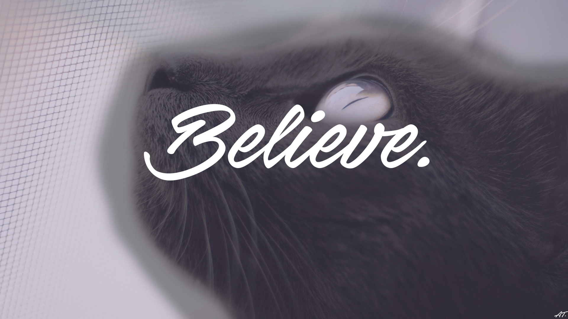 Gatto nero con scritta Believe, 1920x1080 Full HD 1080p, Monitor Gaming