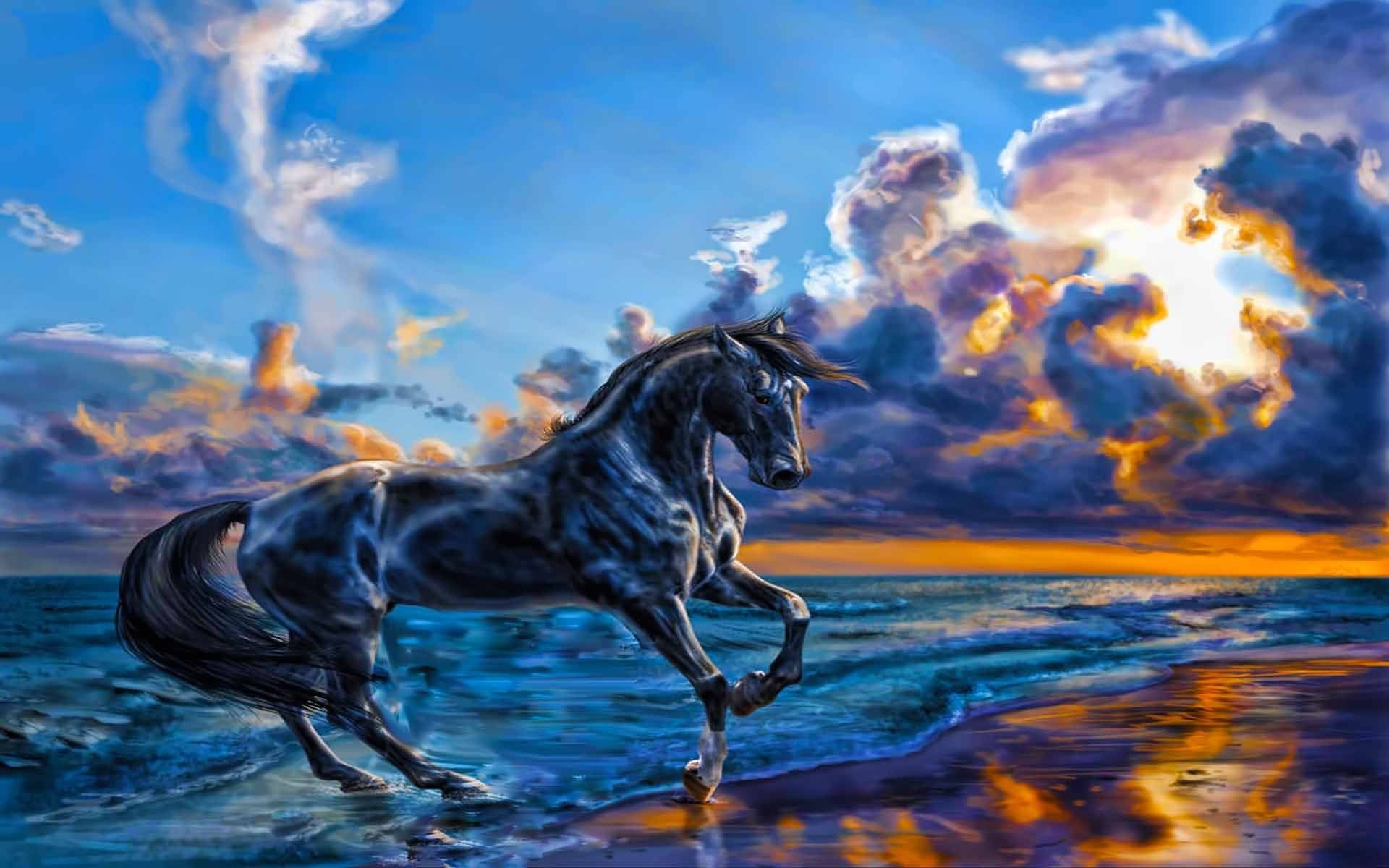 Cavallo nero al tramonto, 1920x1200 Full HD+, Laptop